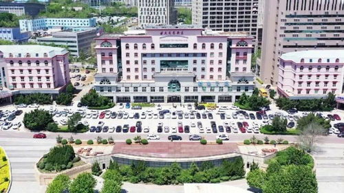 大连这个区 高 在哪