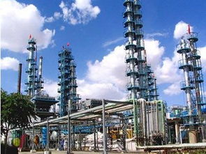 国内 大的液化天然气码头在大连建成