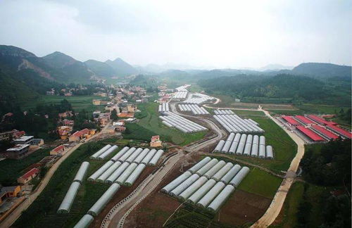 山海相连共筑梦——大连产业助力六盘水脱贫攻坚纪实