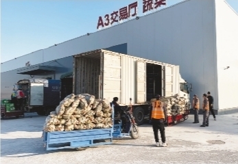 勇当新时代东北振兴“跳高队”——大连产业的新征程