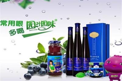 园汁园味饮品加盟 大连市场的机遇与前景