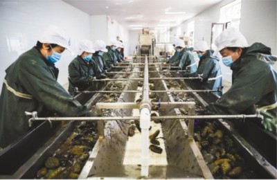 大连市 做强优势农业产业，筑牢乡村振兴之基