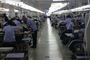 探秘大杨集团最新智能化工厂 全球一流“大连造”背后的产业升级密码